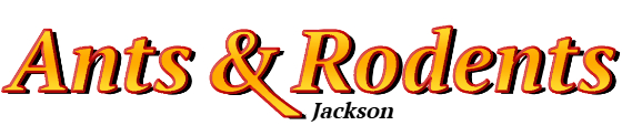 Jackson Ant Exterminator & Rodent Control Company Logo